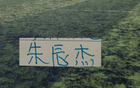 朱辰杰半程联赛全勤展现铁人本色，申花核心球员表现抢眼引关注